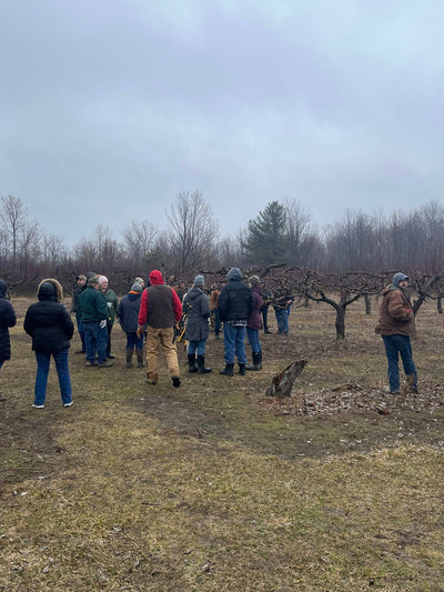 Fruit Tree Pruning Resources and Videos