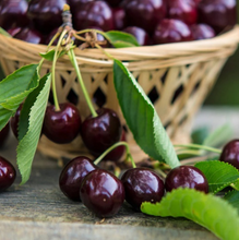 Load image into Gallery viewer, Bing Sweet Cherry