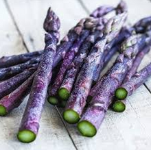 Load image into Gallery viewer, Purple Passion Asparagus