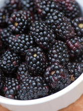 Load image into Gallery viewer, Navaho Blackberry