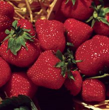 Load image into Gallery viewer, Jewel Strawberries